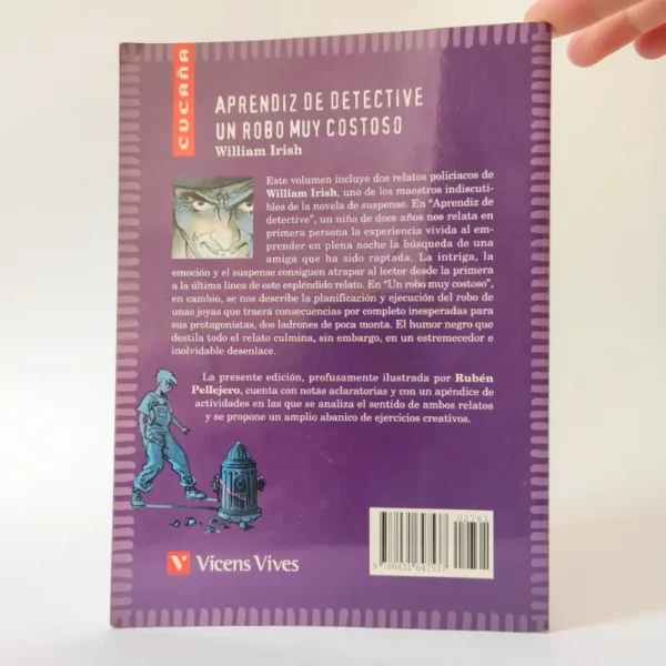 Aprendiz de detective. Un robo muy costoso. Vicens Vives, książka po hiszpańsku