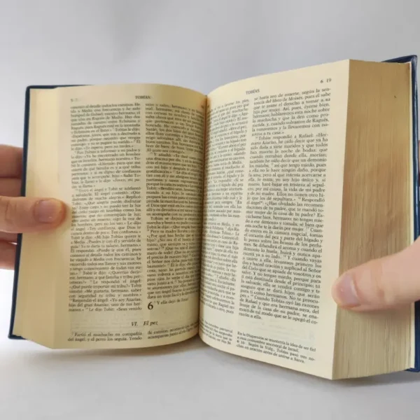 Nueva Biblia de Jerusalen, książka po hiszpańsku