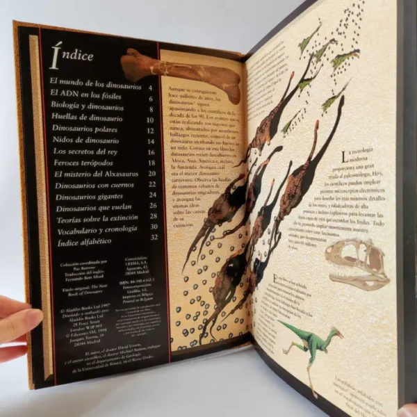 Fascinantes dinosaurios, książka po hiszpańsku dla dzieci