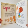 ¿Y de dónde sale este bebé? Libsa, książka dla dzieci po hiszpańsku