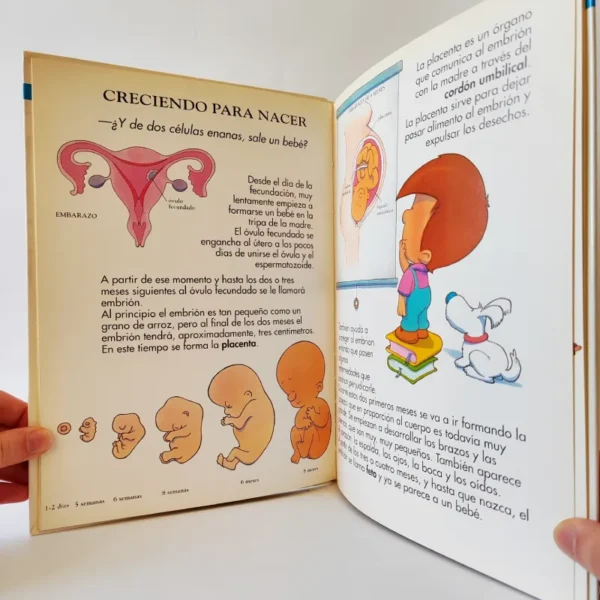 ¿Y de dónde sale este bebé? Libsa, książka dla dzieci po hiszpańsku