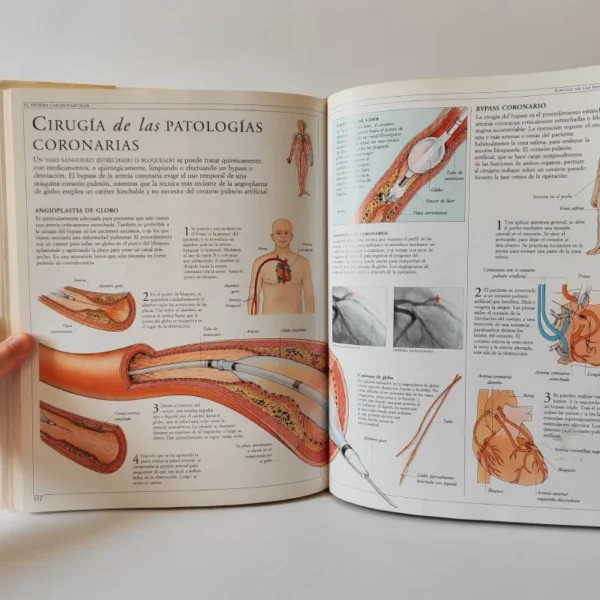 Atlas del Cuerpo Humano. Doctor Tony Smith, książka po hiszpańsku Atlas del Cuerpo Humano. Doctor Tony Smith, książka po hiszpańsku