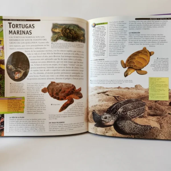 El mundo de los animales, książka po hiszpańsku dla dzieci