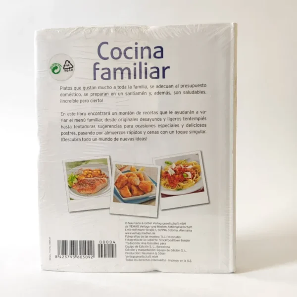 Cocina familiar. Cocina actual del siglo XXI