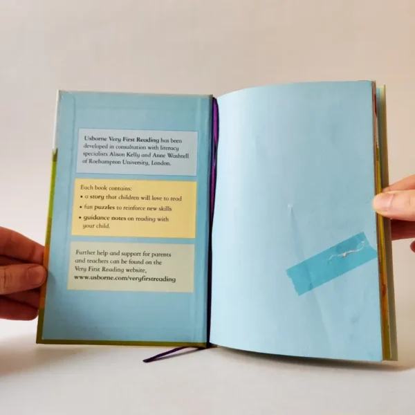 Grizzly Bear Rock (Very First Reading) Usborne