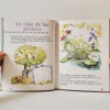 Ventana azul: El mundo de las plantas. Enciclopedia Preescolar