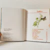 Ventana azul: El mundo de las plantas. Enciclopedia Preescolar