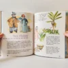 Ventana azul: El mundo de las plantas. Enciclopedia Preescolar