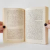 El amante japonés. Isabel Allende