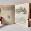 Don Quijote de la Mancha. Miguel de Cervantes