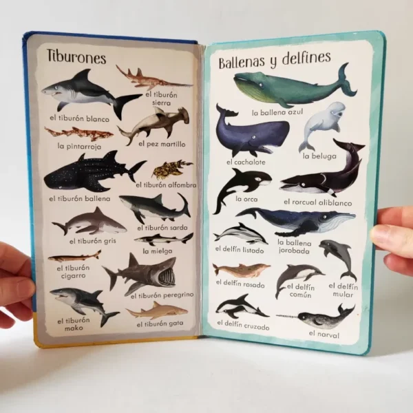 199 cosas que hay en el mar. Usborne