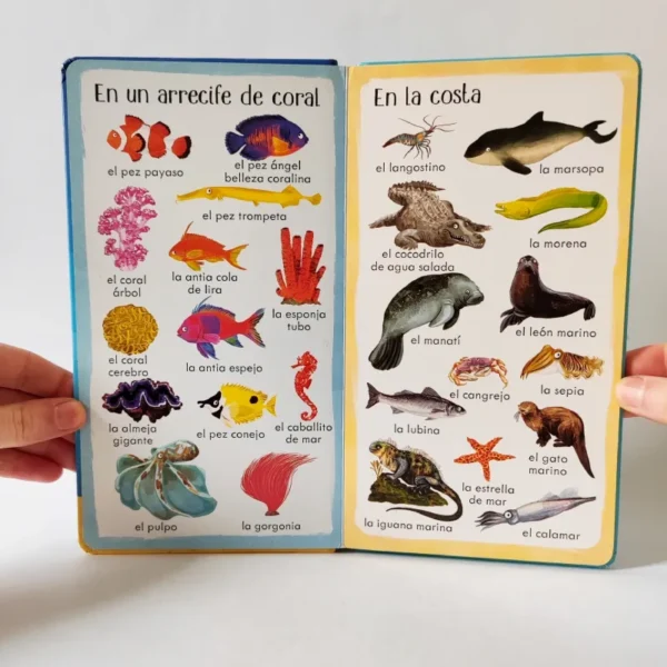 199 cosas que hay en el mar. Usborne