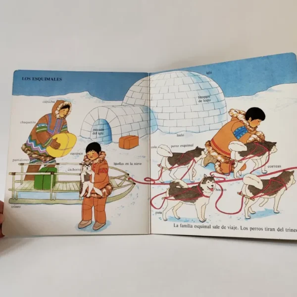 Amigos del mundo. Enciclopedia irrompible de las palabras