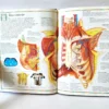 Atlas visual del cuerpo humano. Editorial Bruño