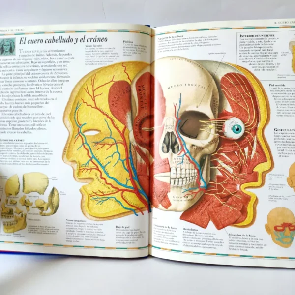 Atlas visual del cuerpo humano. Editorial Bruño
