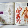 Atlas visual del cuerpo humano. Editorial Bruño