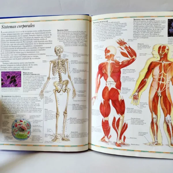 Atlas visual del cuerpo humano. Editorial Bruño