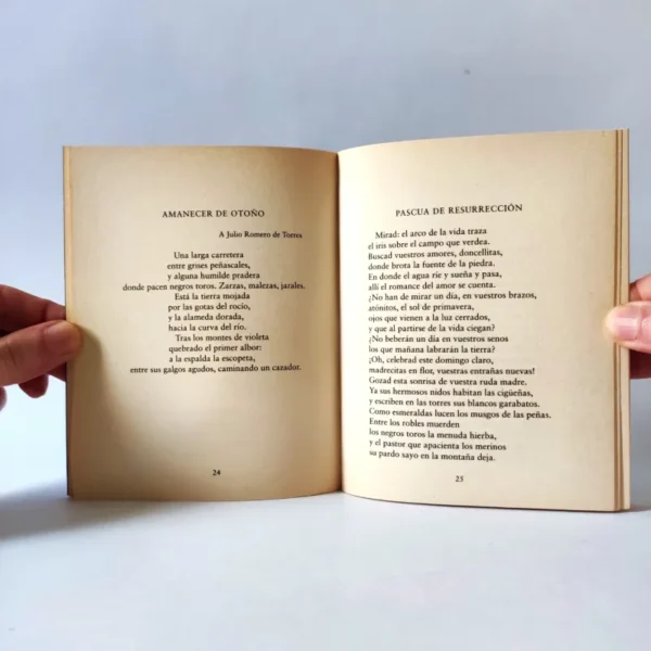 Poemas de Castilla. Antonio Machado, książka po hiszpańsku