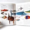 El mundo animal (Biblioteca Visual Juvenil) Libsa, książka po hiszpańsku