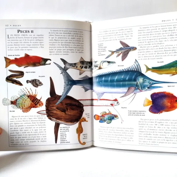 El mundo animal (Biblioteca Visual Juvenil) Libsa, książka po hiszpańsku