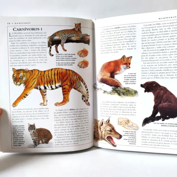 El mundo animal (Biblioteca Visual Juvenil) Libsa, książka po hiszpańsku