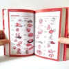 Diccionario ESPASA pocket. (español - francés/ français - espagnol) Edición especial para estudiantes