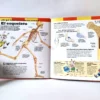 El cuerpo. Larousse