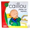 Caillou planea una sorpresa