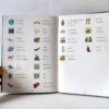 El Camino de Santiago: un recorrido en pictogramas. SM