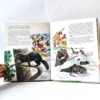 Aventuras de los jóvenes castores- entre los diques del castor. Disney Aventuras de los jóvenes castores- entre los diques del castor. Disney