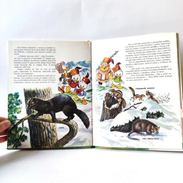 Aventuras de los jóvenes castores- entre los diques del castor. Disney Aventuras de los jóvenes castores- entre los diques del castor. Disney