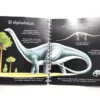 Los dinosaurios. SM