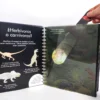 Los dinosaurios. SM