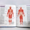 El cuerpo humano. NGV, książka po hiszpańsku