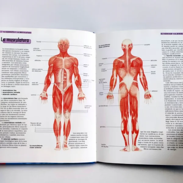 El cuerpo humano. NGV, książka po hiszpańsku
