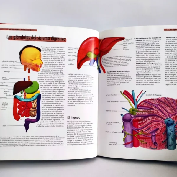 El cuerpo humano. NGV, książka po hiszpańsku